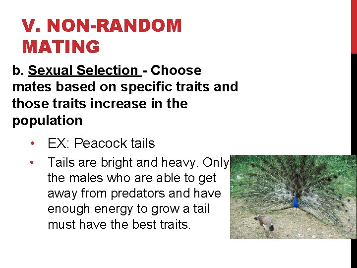 V. NON-RANDOM MATING b. Sexual Selection - Choose mates based on specific traits and