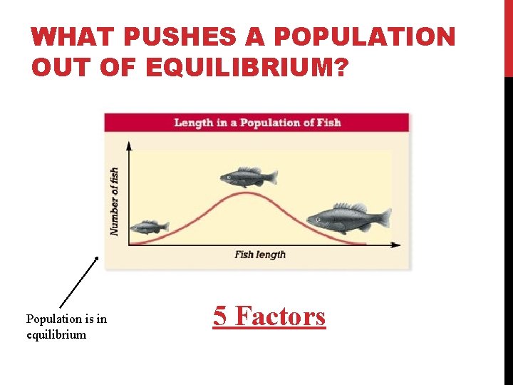 WHAT PUSHES A POPULATION OUT OF EQUILIBRIUM? Population is in equilibrium 5 Factors 