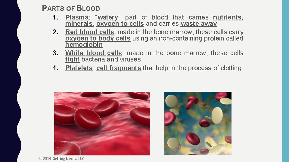 PARTS OF BLOOD 1. 2. 3. 4. Plasma: “watery” part of blood that carries