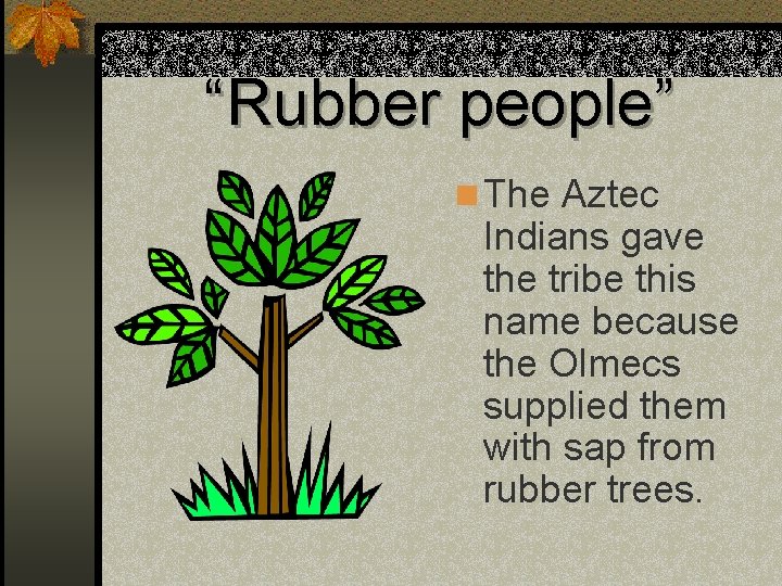 “Rubber people” n The Aztec Indians gave the tribe this name because the Olmecs