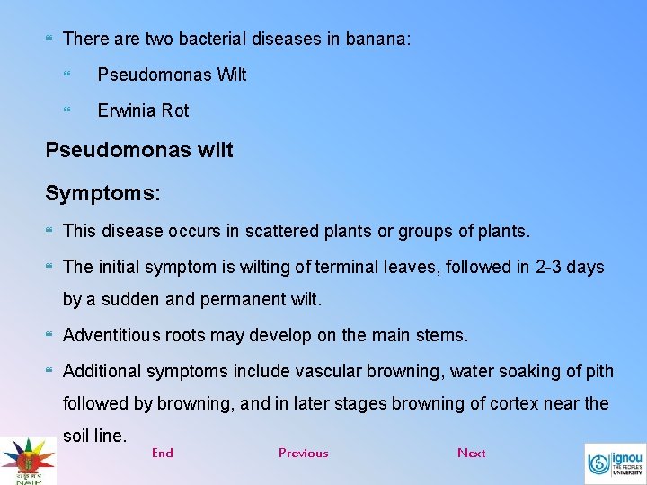  There are two bacterial diseases in banana: Pseudomonas Wilt Erwinia Rot Pseudomonas wilt