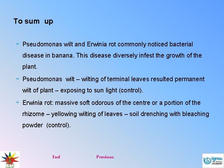 To sum up Pseudomonas wilt and Erwinia rot commonly noticed bacterial disease in banana.