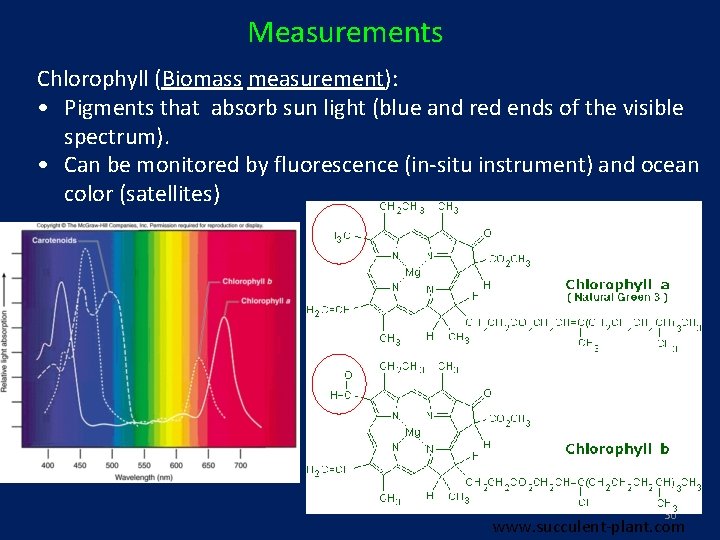 Measurements Chlorophyll (Biomass measurement): • Pigments that absorb sun light (blue and red ends