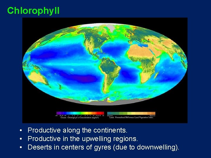 Chlorophyll • Productive along the continents. • Productive in the upwelling regions. • Deserts