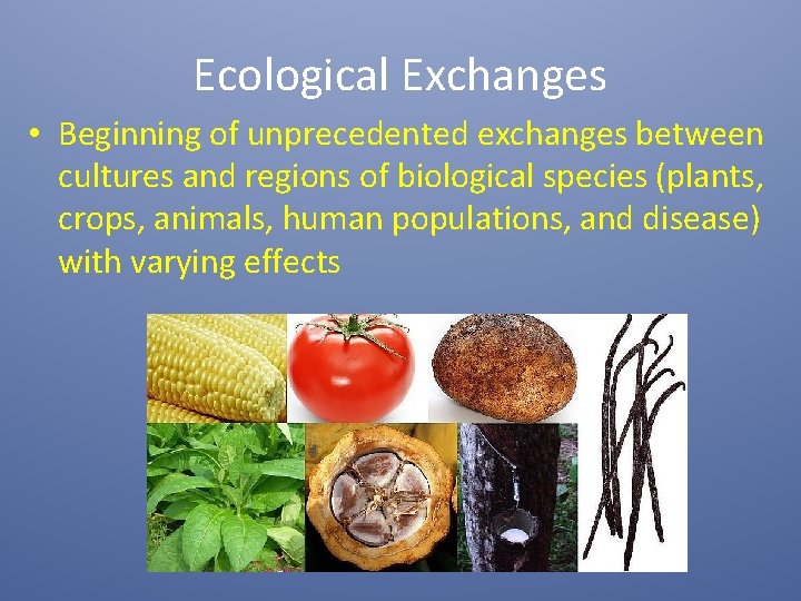 Ecological Exchanges • Beginning of unprecedented exchanges between cultures and regions of biological species