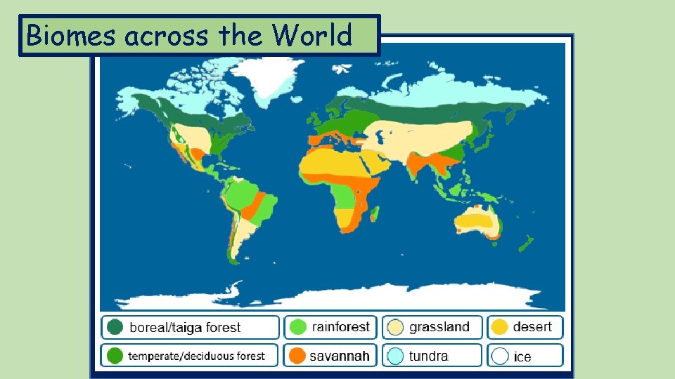 Biomes across the World 