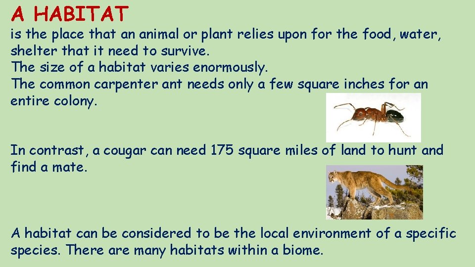 A HABITAT is the place that an animal or plant relies upon for the