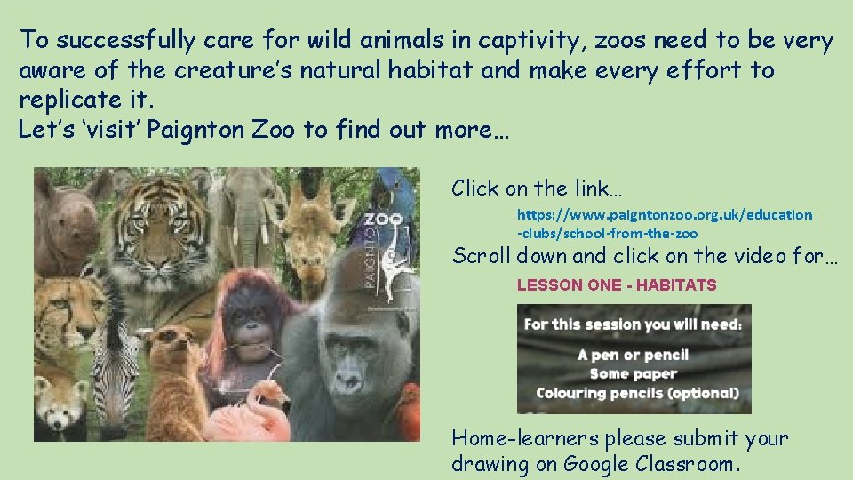 To successfully care for wild animals in captivity, zoos need to be very aware
