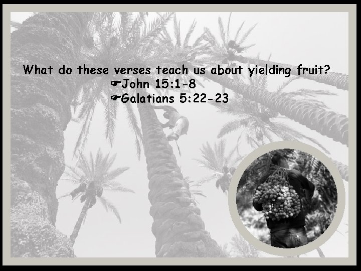 What do these verses teach us about yielding fruit? John 15: 1 -8 Galatians