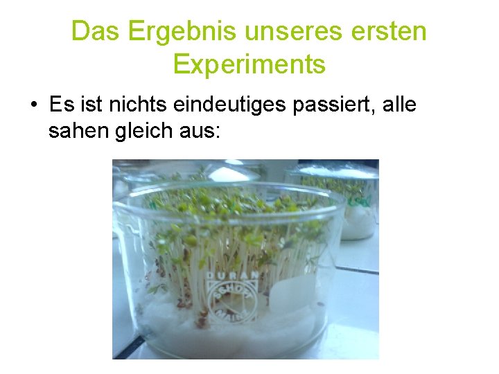 Das Ergebnis unseres ersten Experiments • Es ist nichts eindeutiges passiert, alle sahen gleich