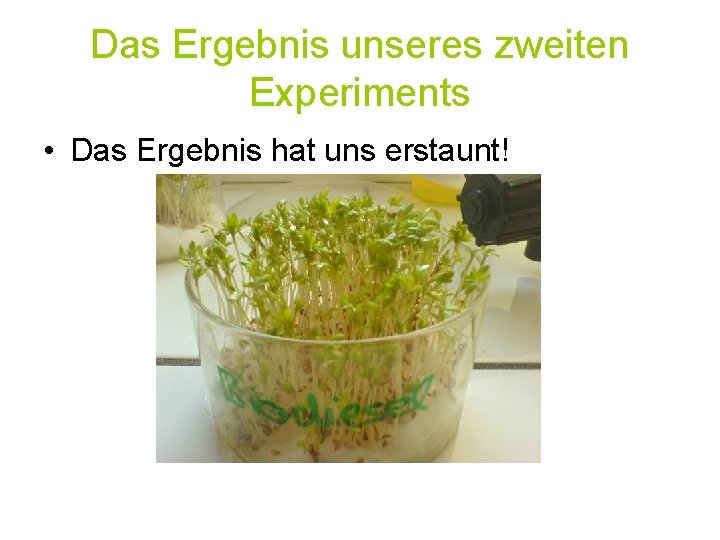 Das Ergebnis unseres zweiten Experiments • Das Ergebnis hat uns erstaunt! 