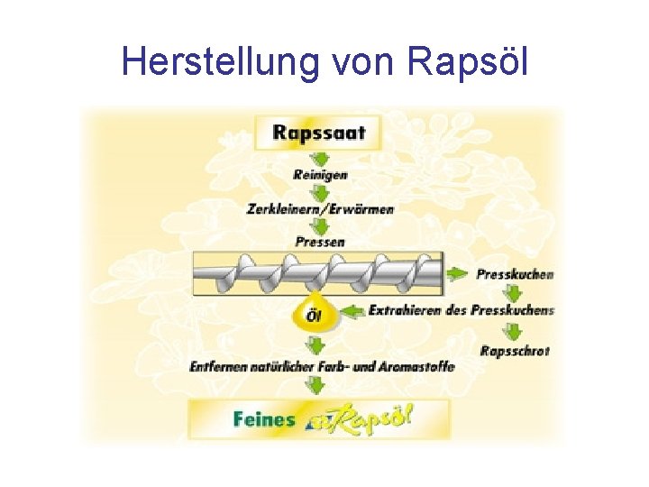 Herstellung von Rapsöl 