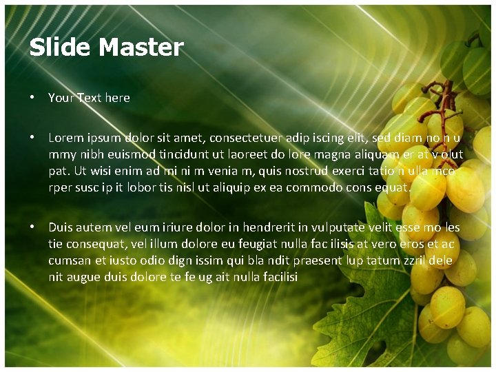 Slide Master • Your Text here • Lorem ipsum dolor sit amet, consectetuer adip