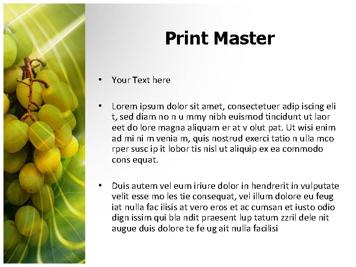 Print Master • Your Text here • Lorem ipsum dolor sit amet, consectetuer adip