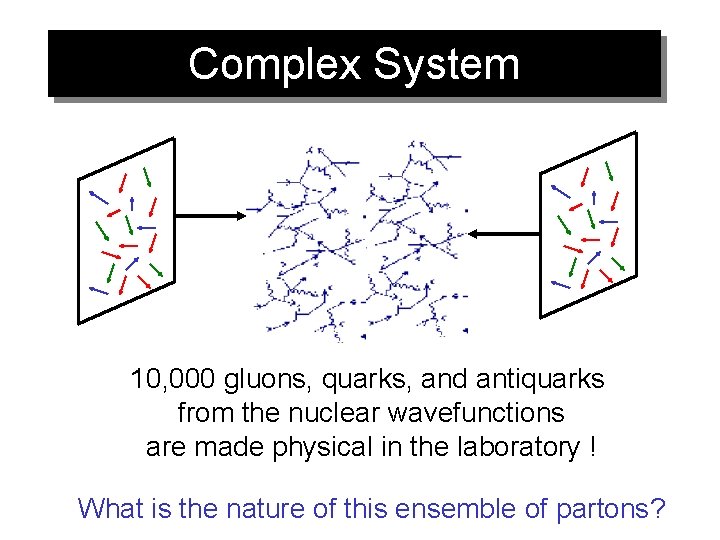 Complex System 10, 000 gluons, quarks, and antiquarks from the nuclear wavefunctions are made