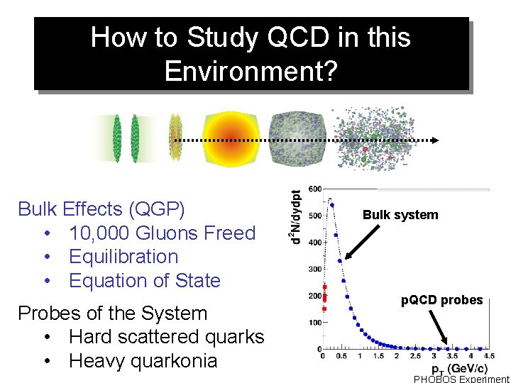 How to Study QCD in this Environment? Bulk Effects (QGP) • 10, 000 Gluons