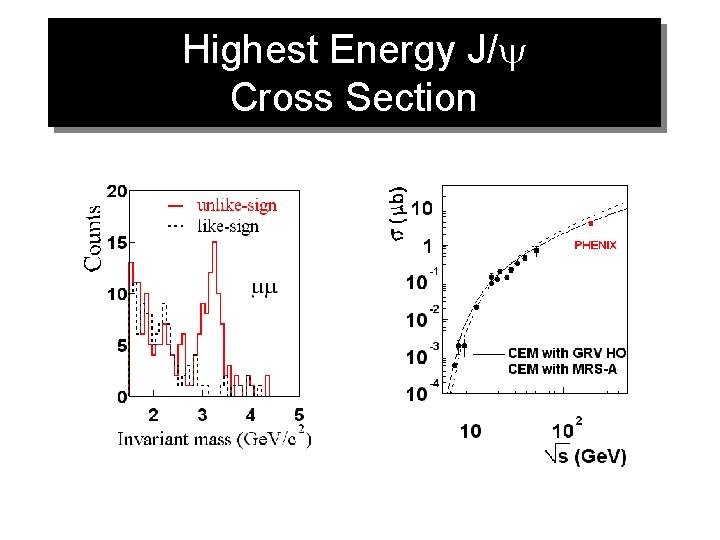 Highest Energy J/y Cross Section 
