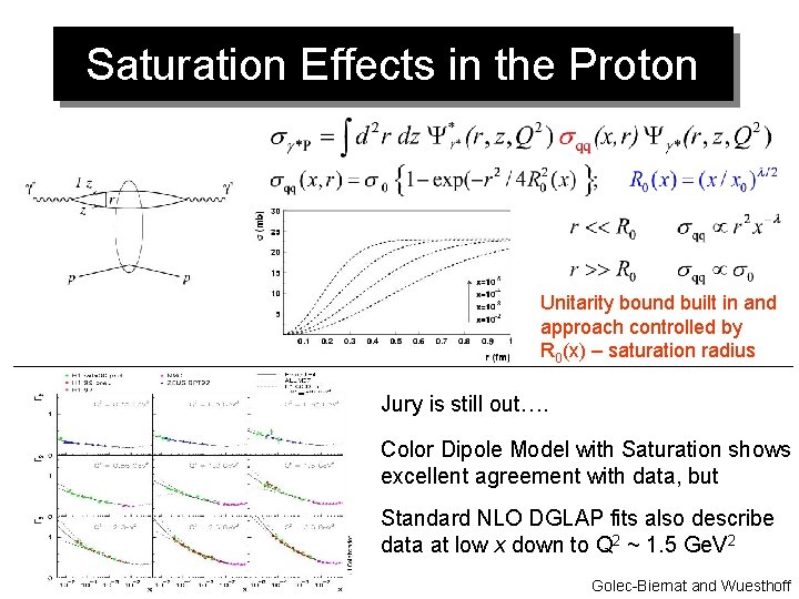 Colour Dipole with Saturation Effects. Models in the Proton saturation Unitarity bound built in