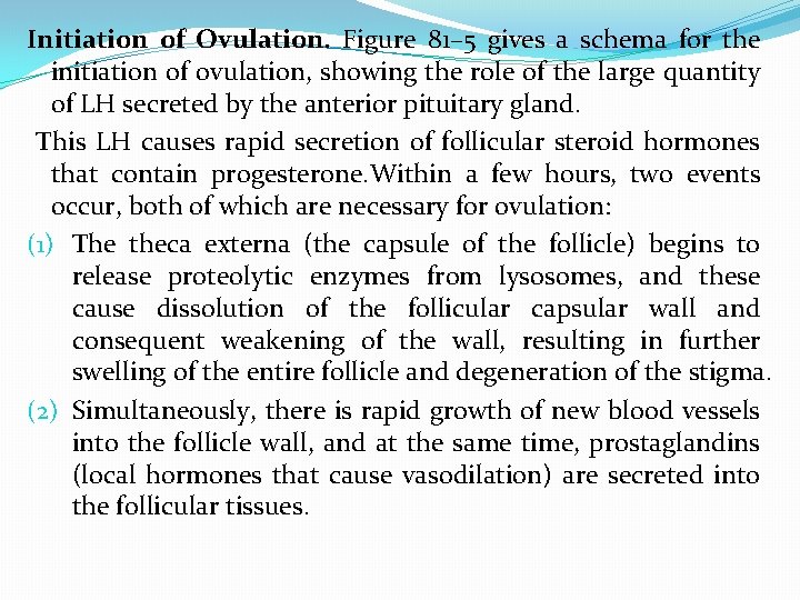 Initiation of Ovulation. Figure 81– 5 gives a schema for the initiation of ovulation,