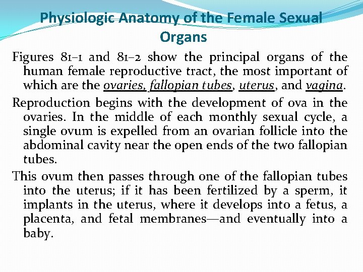 Physiologic Anatomy of the Female Sexual Organs Figures 81– 1 and 81– 2 show