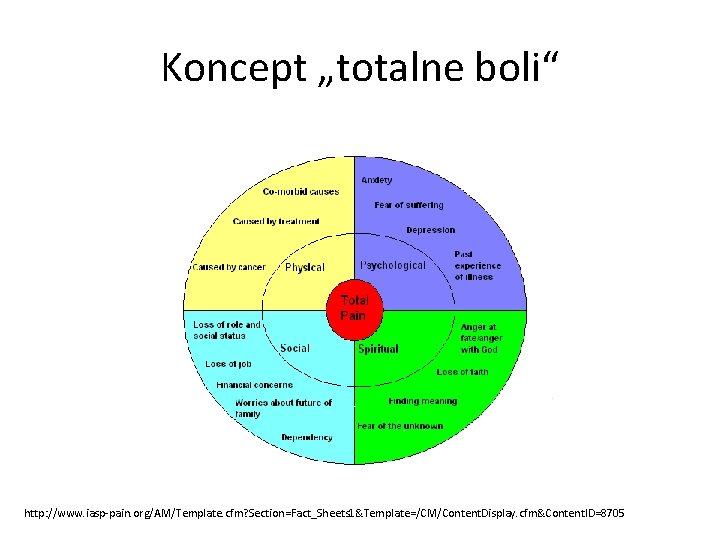 Koncept „totalne boli“ http: //www. iasp-pain. org/AM/Template. cfm? Section=Fact_Sheets 1&Template=/CM/Content. Display. cfm&Content. ID=8705 