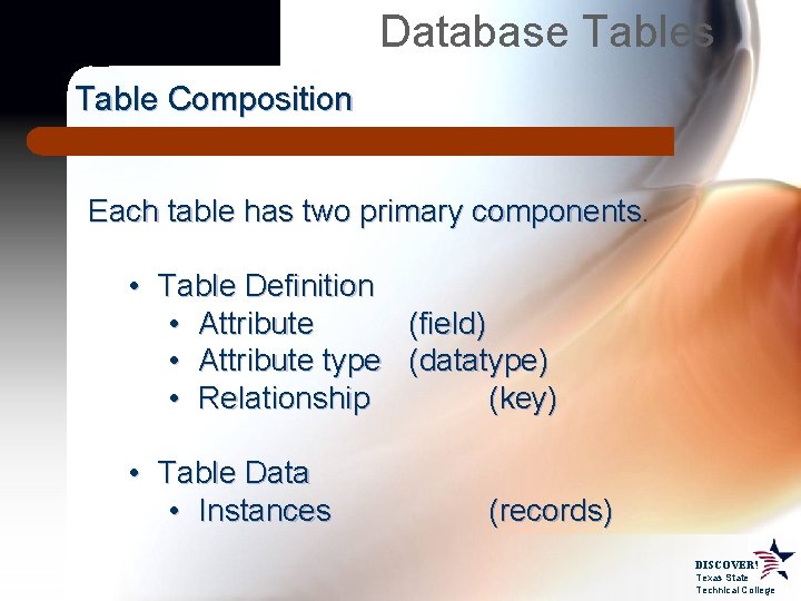 Database Tables Table Composition Each table has two primary components. • Table Definition •