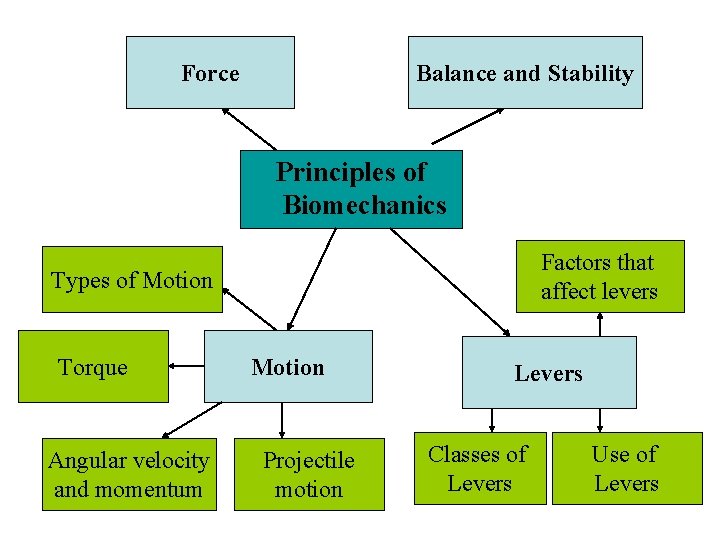 Force Balance and Stability Principles of Biomechanics Factors that affect levers Types of Motion