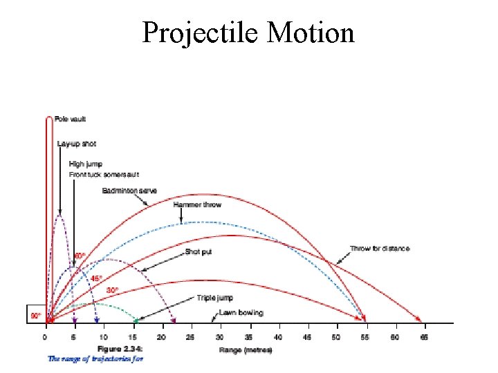 Projectile Motion 