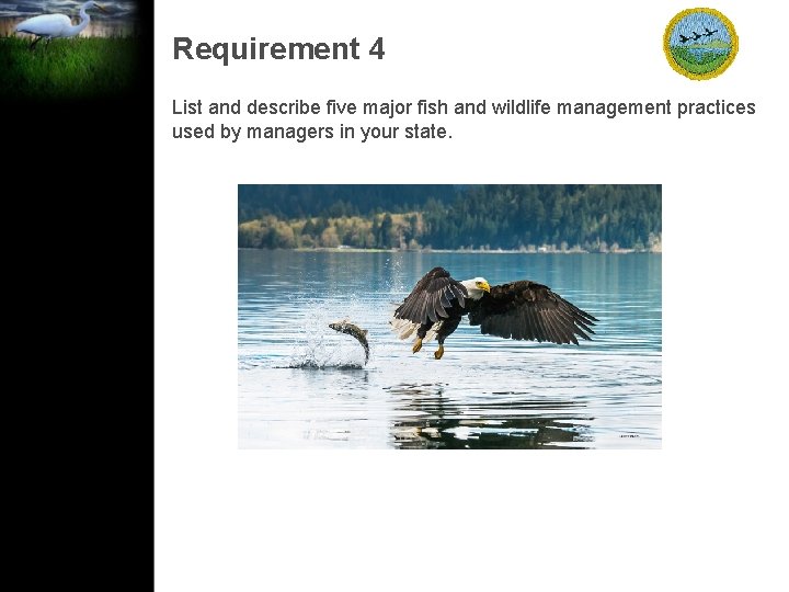 Requirement 4 List and describe five major fish and wildlife management practices used by