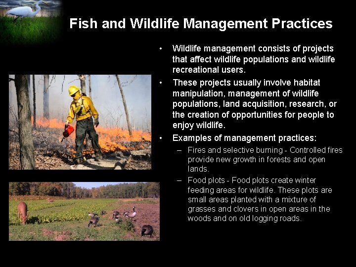 Fish and Wildlife Management Practices • • • Wildlife management consists of projects that