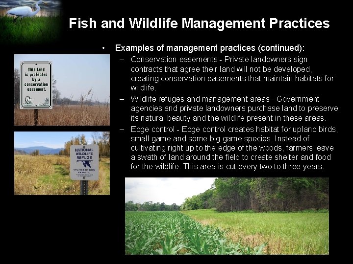 Fish and Wildlife Management Practices • Examples of management practices (continued): – Conservation easements