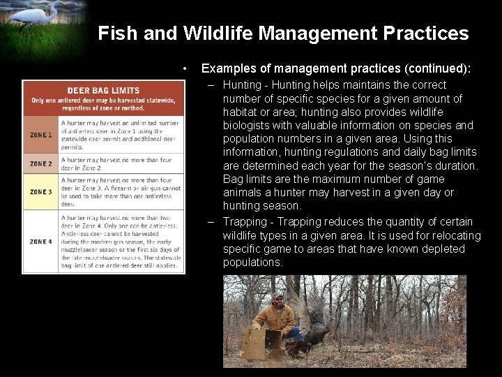 Fish and Wildlife Management Practices • Examples of management practices (continued): – Hunting -