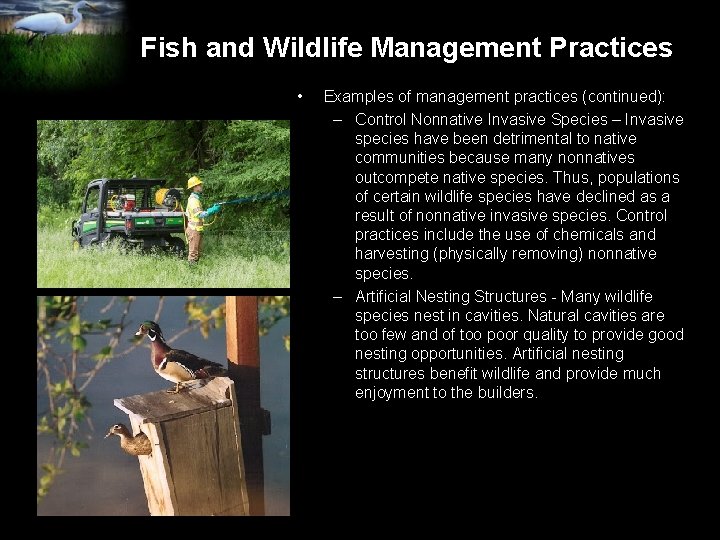 Fish and Wildlife Management Practices • Examples of management practices (continued): – Control Nonnative