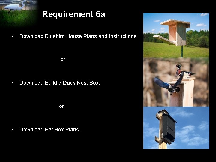 Requirement 5 a • Download Bluebird House Plans and Instructions. or • Download Build