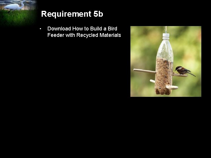 Requirement 5 b • Download How to Build a Bird Feeder with Recycled Materials