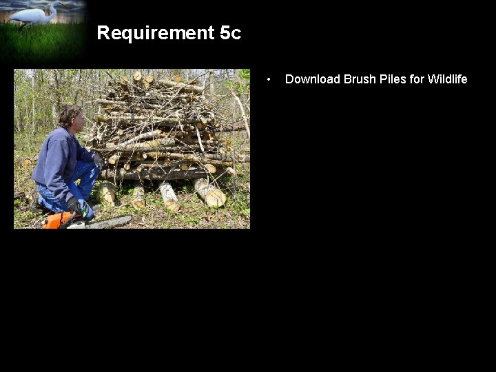 Requirement 5 c • Download Brush Piles for Wildlife 