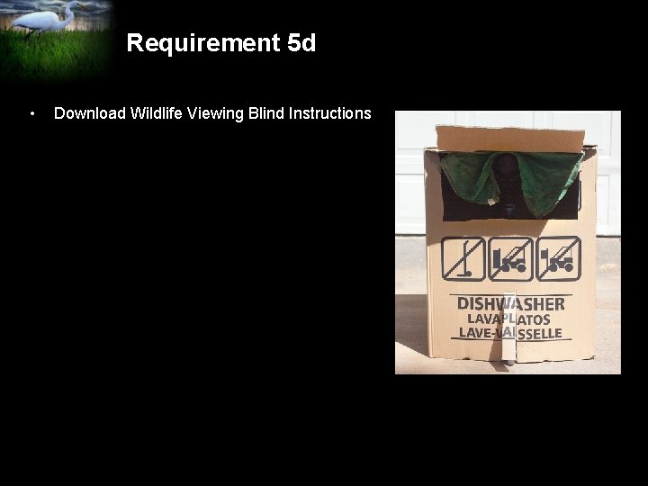 Requirement 5 d • Download Wildlife Viewing Blind Instructions 