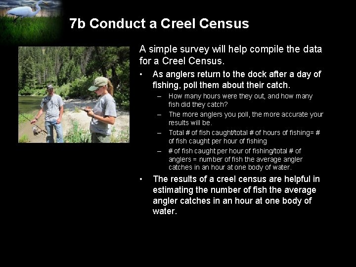 7 b Conduct a Creel Census A simple survey will help compile the data