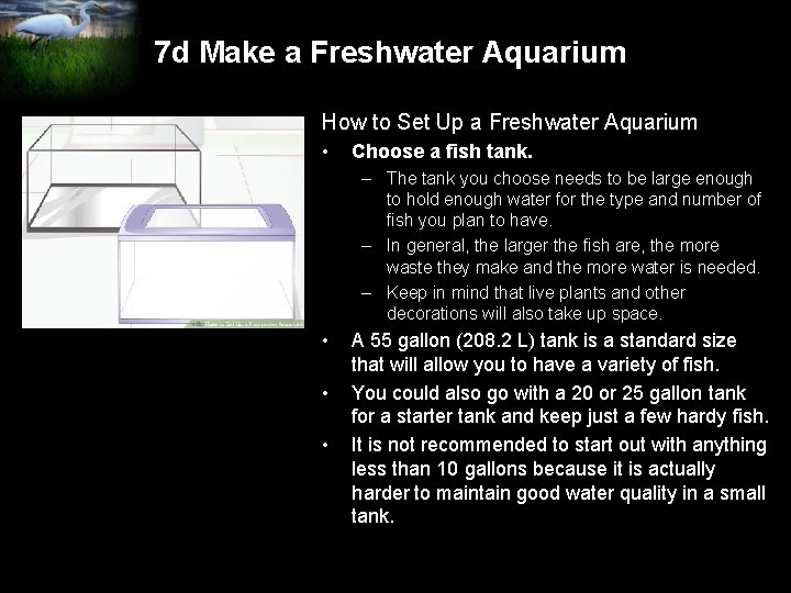 7 d Make a Freshwater Aquarium How to Set Up a Freshwater Aquarium •