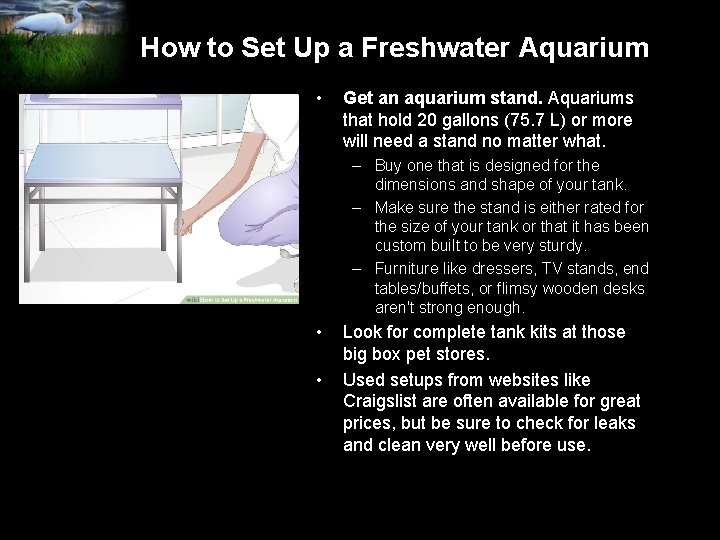 How to Set Up a Freshwater Aquarium • Get an aquarium stand. Aquariums that