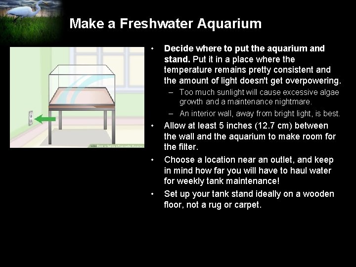 Make a Freshwater Aquarium • Decide where to put the aquarium and stand. Put