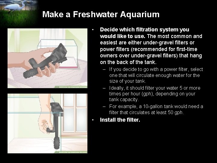 Make a Freshwater Aquarium • Decide which filtration system you would like to use.