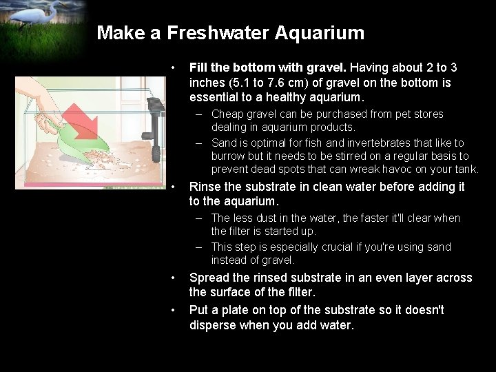 Make a Freshwater Aquarium • Fill the bottom with gravel. Having about 2 to