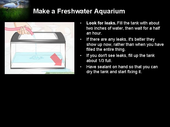 Make a Freshwater Aquarium • • Look for leaks. Fill the tank with about