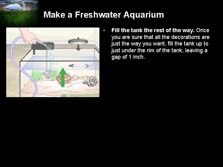 Make a Freshwater Aquarium • Fill the tank the rest of the way. Once