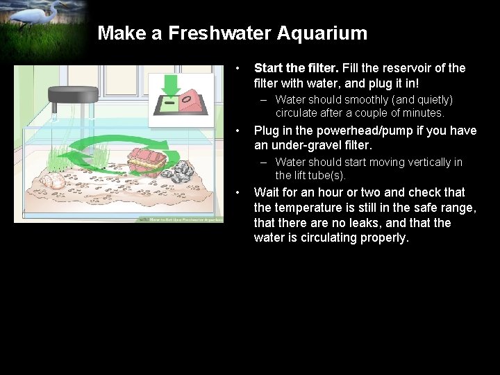 Make a Freshwater Aquarium • Start the filter. Fill the reservoir of the filter