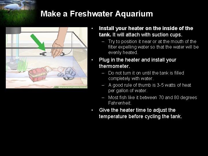 Make a Freshwater Aquarium • Install your heater on the inside of the tank.