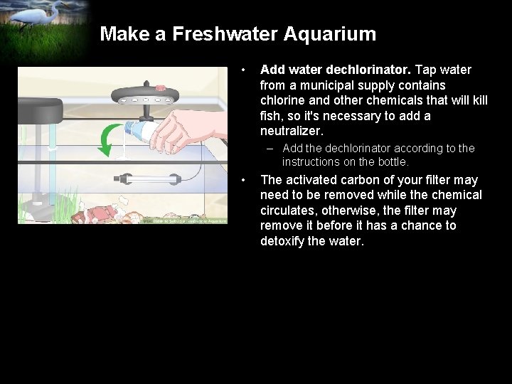 Make a Freshwater Aquarium • Add water dechlorinator. Tap water from a municipal supply