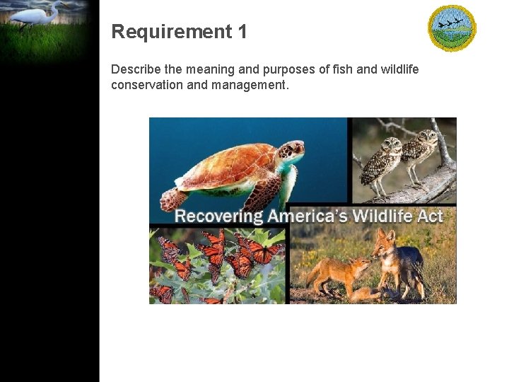Requirement 1 Describe the meaning and purposes of fish and wildlife conservation and management.