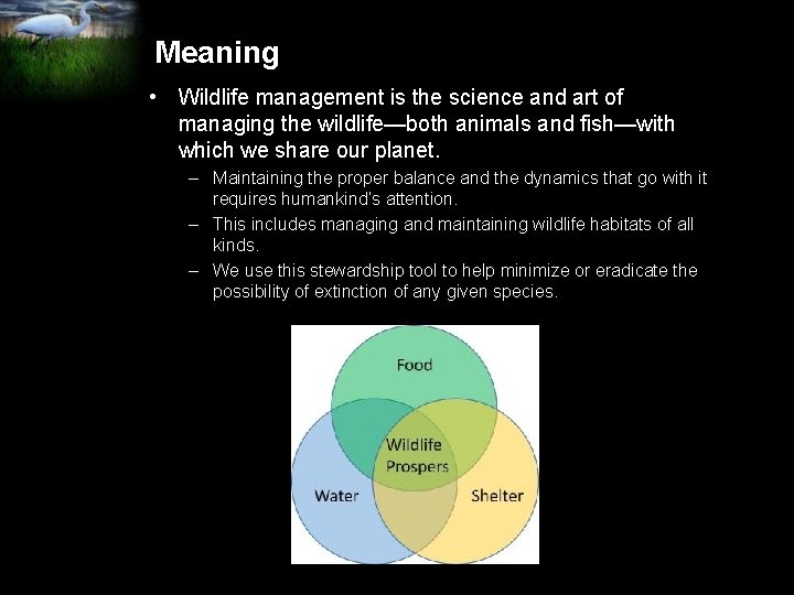 Meaning • Wildlife management is the science and art of managing the wildlife—both animals